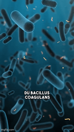 Votre rubrique